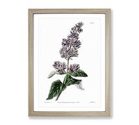 Hungarian Lilac Flowers Vintage Framed Print | A2 Oak Framed Wall Art | Ready to Hang | Classic Floral Picture | Living Room Bedroom Lounge Office