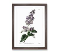Hungarian Lilac Flowers Vintage Framed Print | A4 Walnut Framed Wall Art | Ready to Hang | Classic Floral Picture | Living Room Bedroom Lounge Office