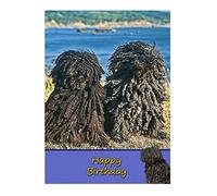 Hungarian Puli Dog Birthday Card