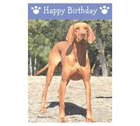 Hungarian Vizsla, Dog Birthday Card