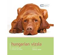 Hungarian Vizsla - Dog Expert