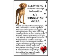 Hungarian Vizsla Lover (I Learned from my Hungarian Vizsla) Gift - Large Fun flexible Fridge Magnet- size 16cms x 10 cms (approx. 6" x4")
