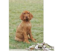 Hungarian Vizsla Puppy Jigsaw Puzzles for Adults Kids. 1000 Pieces Great Challenge Toy Educational Game Home Decoration for Educational Games 1000pcs (75x50cm)