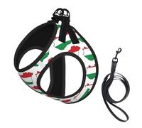 Hungary Flag Map print Dog Harness and Leash Set, Reflective Adjustable Puppy Vest for Small Medium Large Dogs, Cats