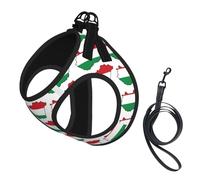 Hungary Flag Map Print Small Dog Harness with Leash Set, No Escape Easy Walk Puppy Harnesses for Training Walking