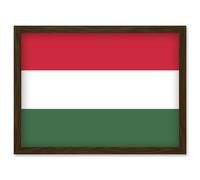 Hungary National Flag Vexillology World Flags Country Region Poster Artwork Framed Wall Art Print A4 Artery8 Brown One Size