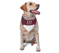 Hunger And Homelessness Awareness Month Dog Bandanas Triangle Bibs Pet Scarf For Small Medium Large Dogs And Cat