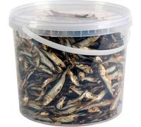 Hungry Pets Fish Sprats 5L Tub | Natural Grain Free Omega 3 Dog Treats Bulk Pack