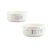 Hungry Thirsty Dog Pet Bowl Set - Multicolour Speckles Small Food & Large Water Ceramic Food Bowls - White Feeding Dishes For Dogs (Set of 2)