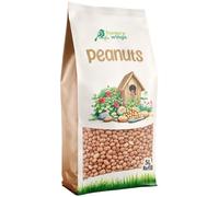 Hungry Wings Peanut Kernels Wild Bird Food Seed, 5L Refill Bag