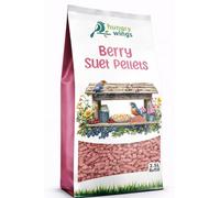 Hungry Wings Wild Bird Food 2.5L Refill Bag (Berry Suet Pellets)