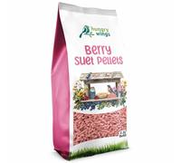 Hungry Wings Wild Bird Food 2.5L Refill Bag (Berry Suet Pellets)