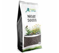 Hungry Wings Wild Bird Food 2.5L Refill Bag (Niger Seed)