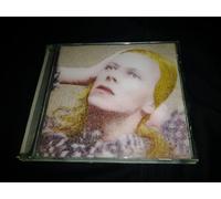 Hunky Dory