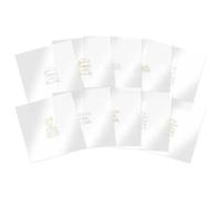 Hunkydory - Luxury Festive Foiled Acetate Sentiment Sheets - LFASS102