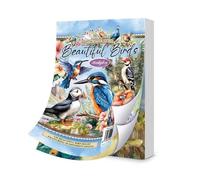 Hunkydory - The Little Book of Beautiful Birds - LBK338 - RRP £9.99
