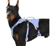 Huntboo Adjustable Reflective Dog Harness - Medium to XL, Breathable Vest for Small to Large Dogs - Walking, Training, Running (Purple)