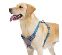 Huntboo Anti Pull Dog Harness Medium, No-Pull Reflective Hanresses for Pet with Front Clip, Adjustable, Breathable for Small, Medium & Large Dogs Walking, Training, Running (Teal Blue, S)