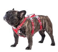 Huntboo Escape Proof Dog Harness Medium, Anti-Pull Dog Harness with Handle, Breathable, Adjustable Dog Harness Small, Reflective Harnesses for Large Dogs Outdoor, Walking, Training (Red, S)
