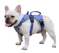 Huntboo Escape Proof Dog Harness Medium, Reflective Dog Harness with Handle, Breathable Vest for Small Medium Dogs Walking, Training, and Running Gear (Purple, S)