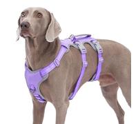 Huntboo Escape Proof Dog Harness, No Pull Reflective Harness with Lift Handle,Adjustable Pet Vest with Front and Back Leash Clips for Small Medium Large Dogs Walking Hiking Training(Lavender Purple,L)