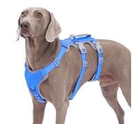 Huntboo Escape Proof Dog Harness, No Pull Reflective Harness with Lift Handle,Adjustable Pet Vest with Front and Back Leash Clips for Small Medium Large Dogs Walking Hiking Training (Sea Blue,L)