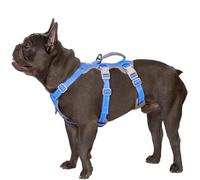 Huntboo Escape Proof Dog Harness, Secure Dog Harness No Escape, Fully Reflective Harness with Handle,Breathable,Durable, Adjustable Vest for Small Dogs Walking, Training,and Running Gear (Sea Blue,S)