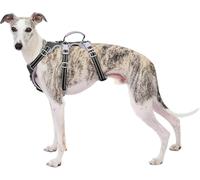 Huntboo Escape Proof Dog Harness, Secure Dog Harness No Escape, Fully Reflective Harnesses with Handle, Breathable, Durable, Adjustable Vest for Small Dogs Walking, Training & Running Gear(Black,XS)