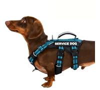 Huntboo Escape Proof Dog Harness Small Dog, Service Dog Harness with 6 Patches, No Pull Harness for Dogs with Handle, Reflective Adjustable Vest for Training, Walking, Outdoor (Teal,XS)