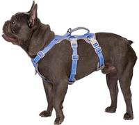 Huntboo Escape Proof Harness, No Slip Dog Harness Escape Proof,Fully Reflective Harness with Handle, Breathable,Durable, Adjustable Vest for Medium Dogs Walking, Training, and Running Gear (Purple,M)