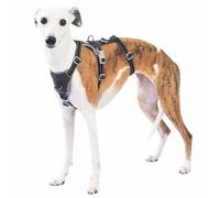 Huntboo Medium Escape Proof Dog Harness, Anti Pull Reflective Pet Harnesses, Secure 3 Point Vest for Small Animal, Lightweight, Adjustable, for Large Dogs Outdoor Training, Hiking (Black, L)