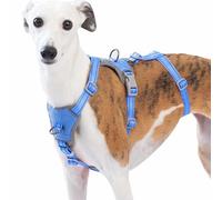 Huntboo Medium Escape Proof Dog Harness, Anti Pull Reflective Pet Harnesses, Secure 3 Point Vest for Small Animal, Lightweight, Adjustable, for Large Dogs Outdoor Training, Hiking (Sea Blue, XL)