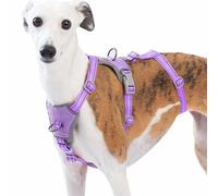 Huntboo Medium Escape Proof Dog Harness, Anti Pull Reflective Pet Harnesses, Secure 3 Point Vest for Small Animal, Lightweight, Adjustable, for Large Dogs Outdoor Training, Hiking (Lavender Purple, L)