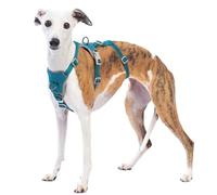 Huntboo Medium Escape Proof Dog Harness, Anti Pull Reflective Pet Harnesses, Secure 3 Point Vest for Small Animal, Lightweight, Adjustable, for Large Dogs Outdoor Training, Hiking (Blue, M)