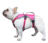 Huntboo Medium Reflective Dog Harness - Adjustable, Breathable Vest for Walking, Training & Running (Rose Red, S)