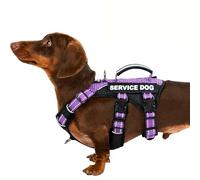 Huntboo Service Dog Vest Harness, Escape Proof Harness with 6 Patches, No-Pull, Reflective Harness with Handle, Adjustable for Small to Large Dogs, for Training and Hiking (Lavender Purple, XS)