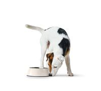 Hunter 92091 Bowl Melamine 1400 ml 1400 ml White
