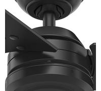 Hunter Protos fan black/light grey