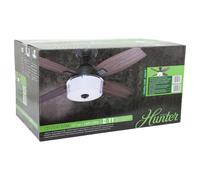 Ceiling Fan Central Park Steel with Light & Wall Control