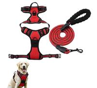Hunter Dog Harness, Fellsterns Harness, Anti-Pull Dog Harness with Step-in Design, Breathable & Padded, for Relaxed Walking, No Pull Control, for Dogs of All Sizes