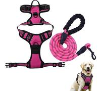 Hunter Dog Harness, Fellsterns Harness, Anti-Pull Dog Harness with Step-in Design, Breathable & Padded, for Relaxed Walking, No Pull Control, for Dogs of All Sizes