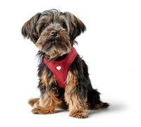 HUNTER Dog Harness Love Soft Cowhide Leather Breathable Mesh Padding Heart Hand Stitched High Comfort Made in Germany XXS-S