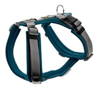 Hunter dog harness Maldon UP, colour: petrol/grey, soft padded and comfortable, highly reflective thanks to 3M Scotchlite, 4-way adjustable, with padded handle (from S-M), size: XS-S