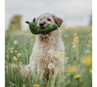 HUNTER Florence Caterpillar Dog Toy 22 cm