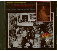 Hunter, Ivory Joe - I'm Coming Down With the Blues
