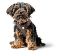 HUNTER Love Dog Harness, Colour: Brown, Soft Cowhide Leather, Breathable Mesh Padding, Heart Hand Stitched High Comfort, Made in Germany, Size: XS-S