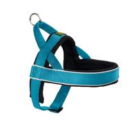 Hunter Racing Norwegian-Style Harness, Medium, Petrol Blue
