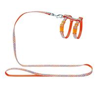 HUNTER Seventies Puppy & Cat Set, Orange