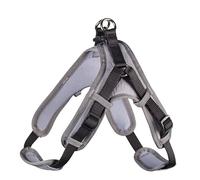 HUNTER Vario Quick Neoprene Harness, Small, 45-55 cm, 15 mm, Black/Grey