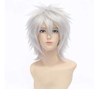 Hunter x Hunter Killua Zoldyck Short Mens Wig Cosplay Costume Shaggy Layered Heat Resistant Synthetic Hair Wigs + Free Wig Cap